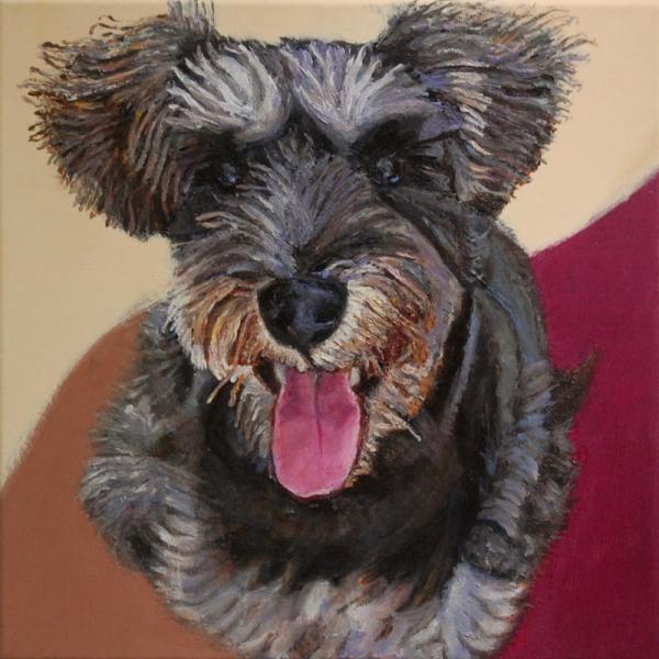 Happy Schnauzer - 12x12 in - acrylic canvas '23 - NFS