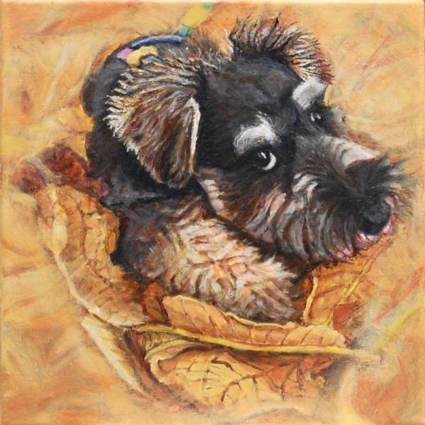 Schnauzer And Leaves - 12x12 in - acrylic canvas '23 - NFS