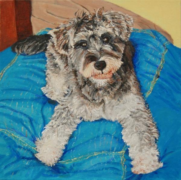 Schnauzer On Couch - 12x12 in - acrylic canvas '24 - NFS